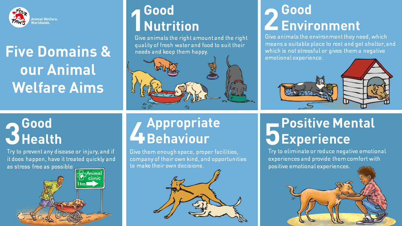 The Five Domains for Animal Welfare - FOUR PAWS in South Africa
