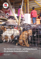 Der Handel mit Hunde- und Katzenfleisch: Ein globales Gesundheitsrisiko