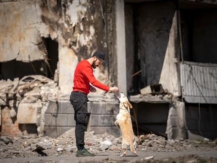 FOUR PAWS onsite staff in Ukraine interacts with a stray dog 