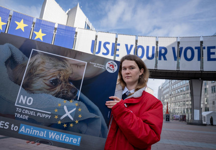 FOUR PAWS employee protesting with banners for better animal protection laws in front of the European parliament in Brussels, Belgium