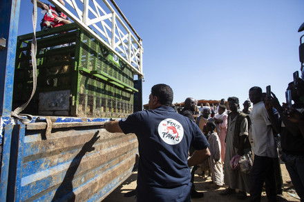 Rettungsmission in Khartum