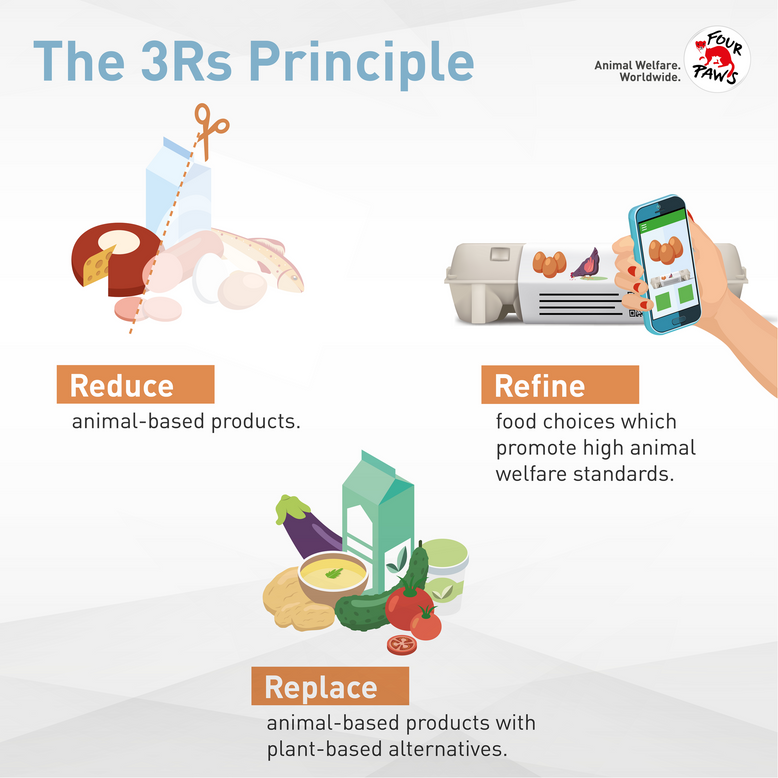 Le principe des 3R