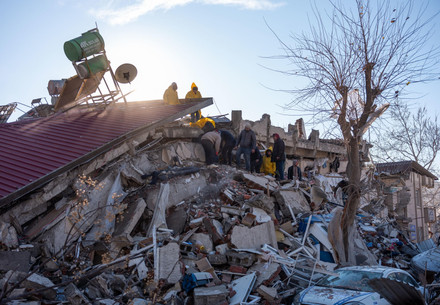 Un chat grimpe dans les décombres d'un bâtiment détruit à Antakya, dans le sud de la Turquie.