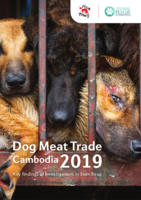 Dog Meat Trade 2019 – Key findings of investigation in Siem Reap