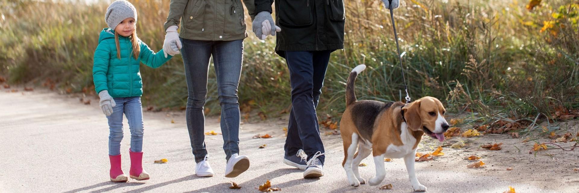 Family walking with a dog