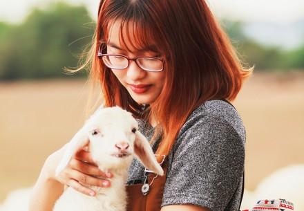 Girl holding a lamb