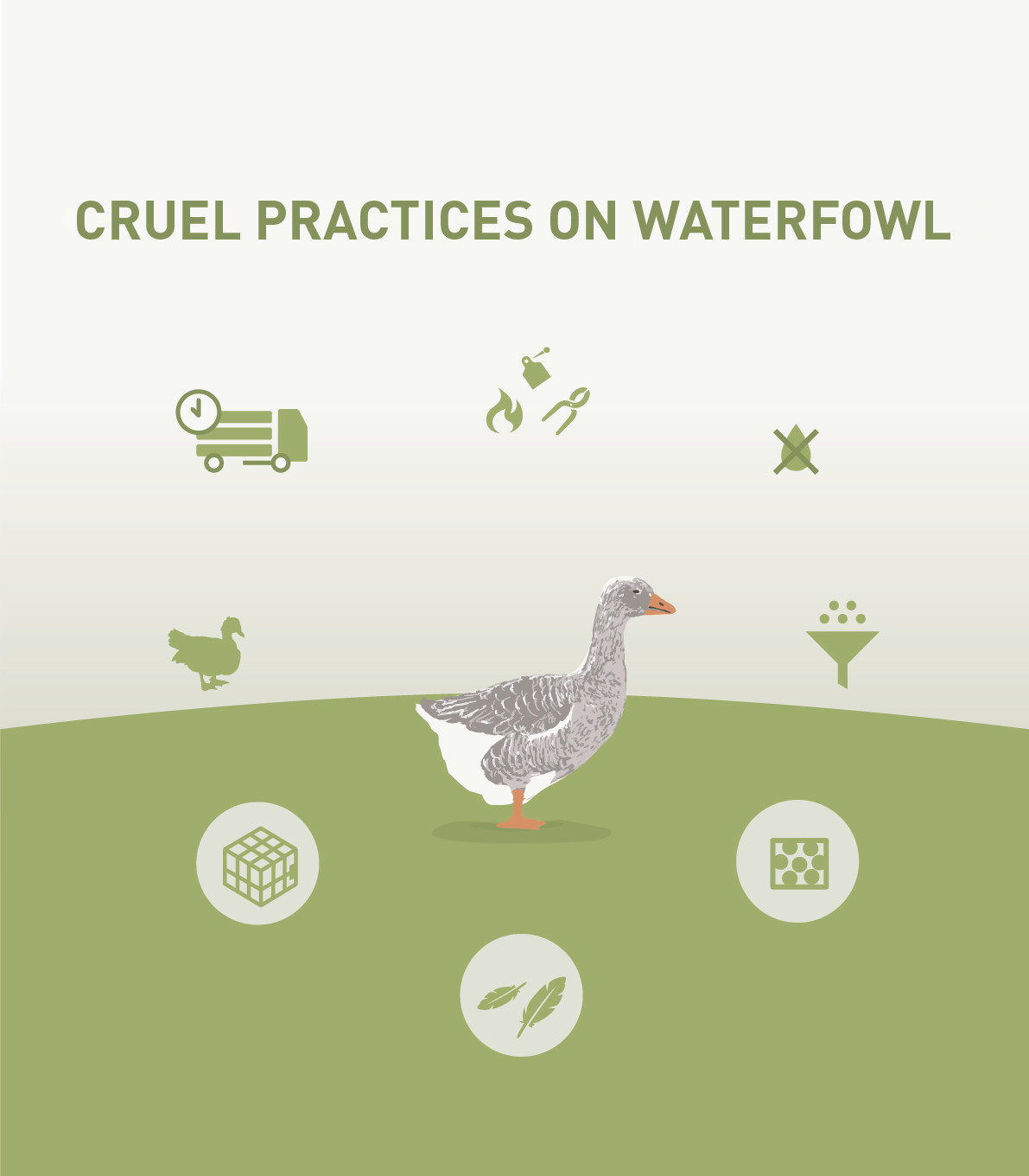 Cruel Practices on Waterfowl