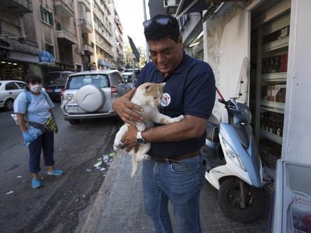 Vet Dr Amir Kahlil and a cat in Lebanon
