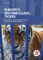 Europe’s second-class tigers