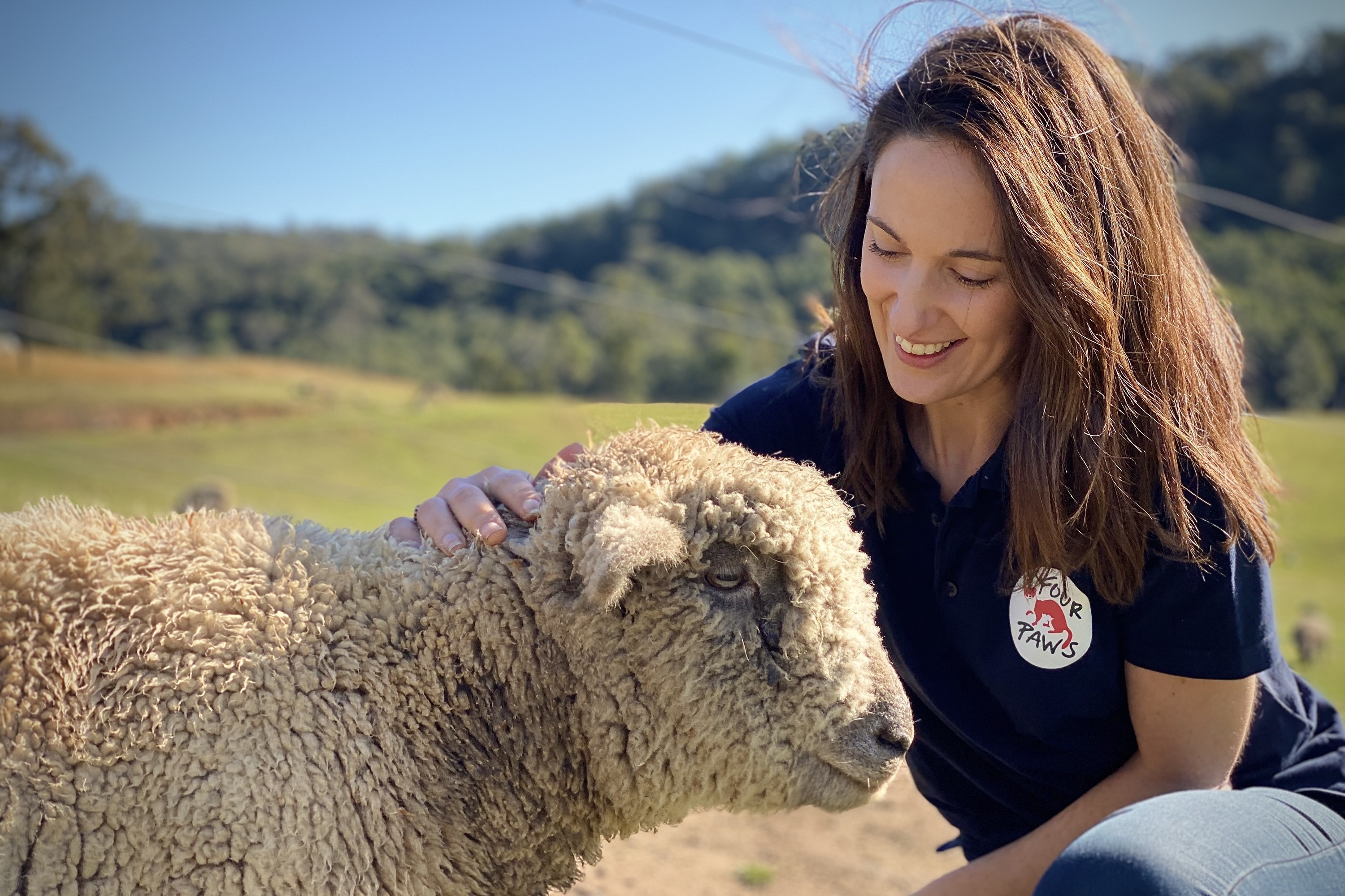 Girl petting a sheep