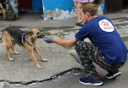 VIER PFOTEN Mitarbeiter unterwegs bei den Strassenhunden in der Ukraine