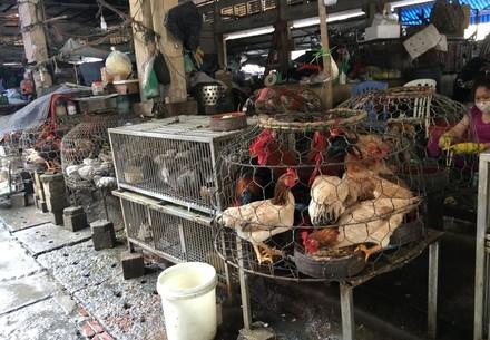 Commerce de viande au Vietnam