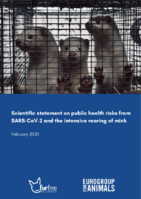 Scientific statement on public health risks of SARS-Cov-2 and the intensive rearing of mink