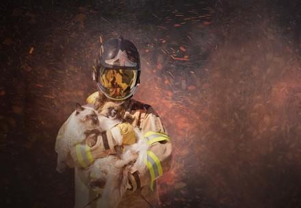 Tierrettung: Feuerwehrmann in Funkenregen rettet Katze und Hund