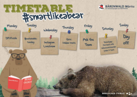 Bearology timetable