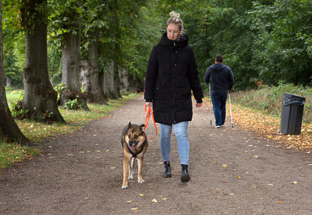 Dog and their owner walking