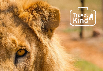How to be an animal-friendly traveler