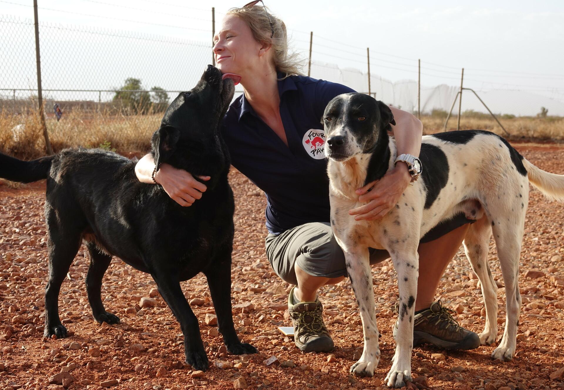 Stray Animal Care in Australia - FOUR PAWS in US - Global Animal Protection  Organization
