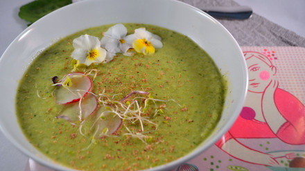 Green spring cream soup