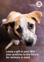 Your free guide to leaving a gift in your Will
