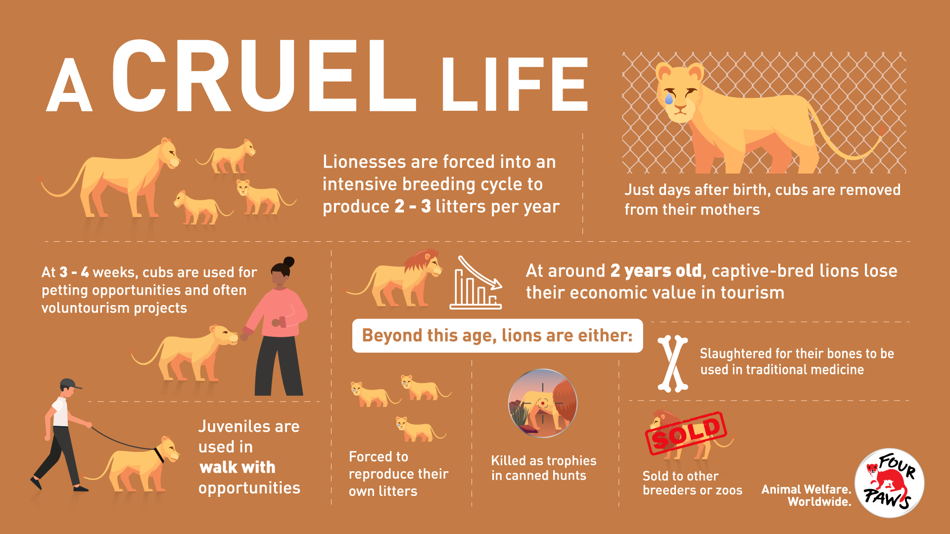The Life Cycle of Exploitation - FOUR PAWS in US - Global Animal Protection  Organization