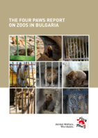 The FOUR PAWS report on zoos in Bulgaria