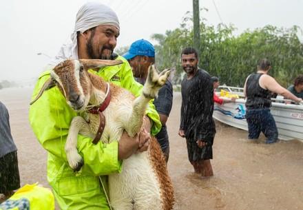 Protecting animals in floods