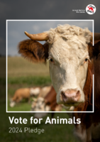 Vote for Animals Pledge