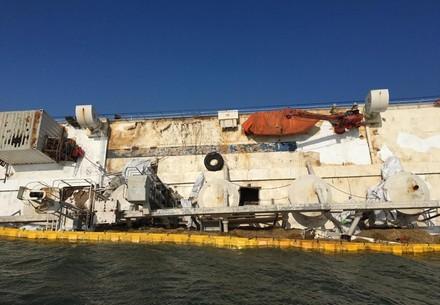 After ship accident: Romania plans to suspend live exports to third countries