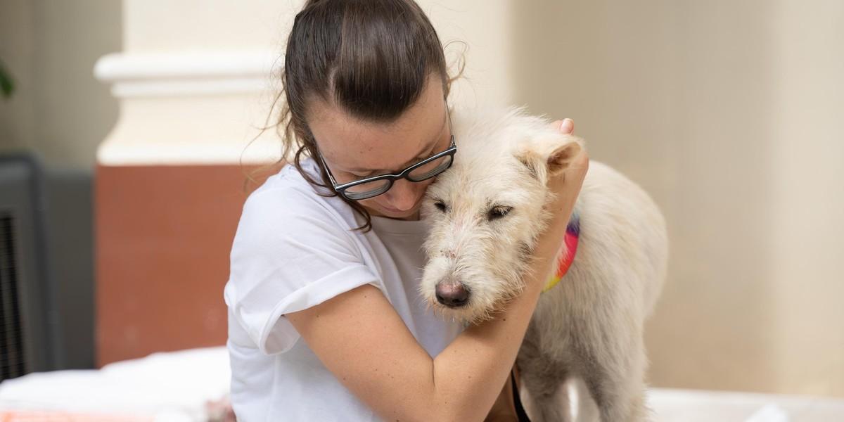 Preparing to Say Goodbye to Your Pet - FOUR PAWS International - Animal  Welfare Organisation