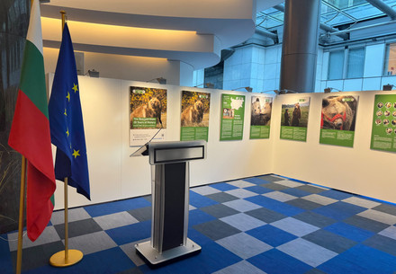 "The Rescued Ones: 20 Years of History" exhibition in the European Parliament