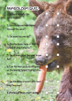 Worksheet brown bears