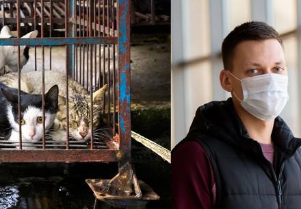 Man in face mask standing next to cage of cats