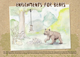 Enrichments for bears
