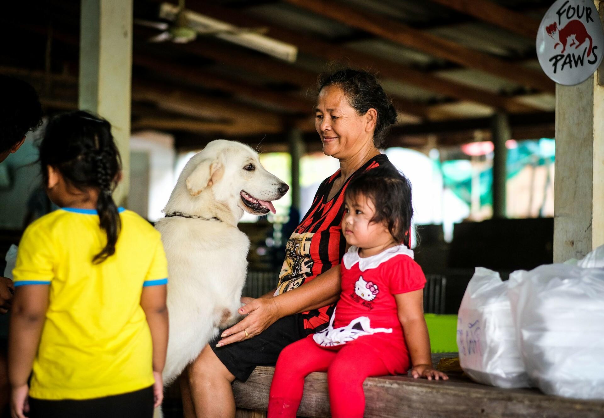 Community Engagement in Eastern Europe and Southeast Asia - FOUR PAWS  International - Animal Welfare Organisation