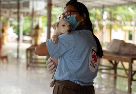 Tierschutz in Zeiten von Pandemien