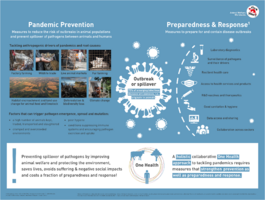 Pandemic Prevention and Response