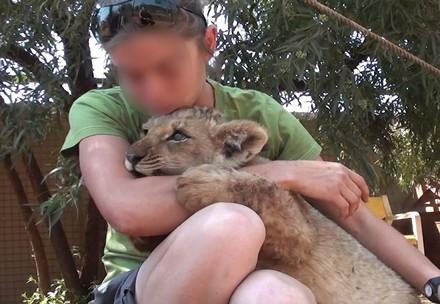 person petting a lion cub