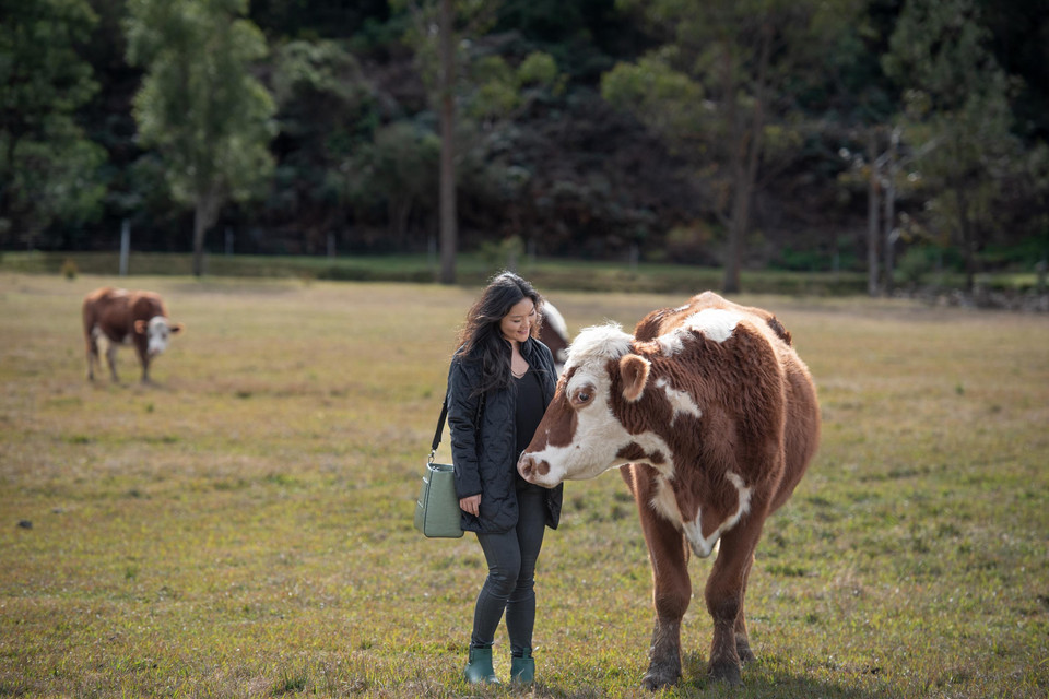 Woman standing next to rescued cow