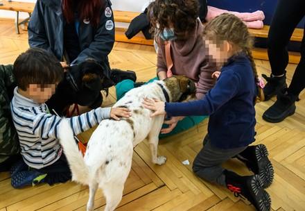 Crise ukrainienne : des chiens de thérapie apportent du réconfort aux enfants réfugiés