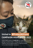 Ending the Dog and Cat Meat Trade Campaign Highlights 2022