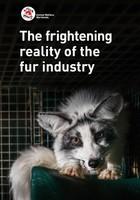 The Frightening Reality of the Fur Industry