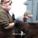 Tierpflegerin Bianca hält Michals Pfote