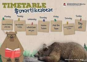Bearology timetable