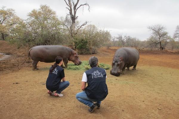 Two Rhinos and two FBB staff