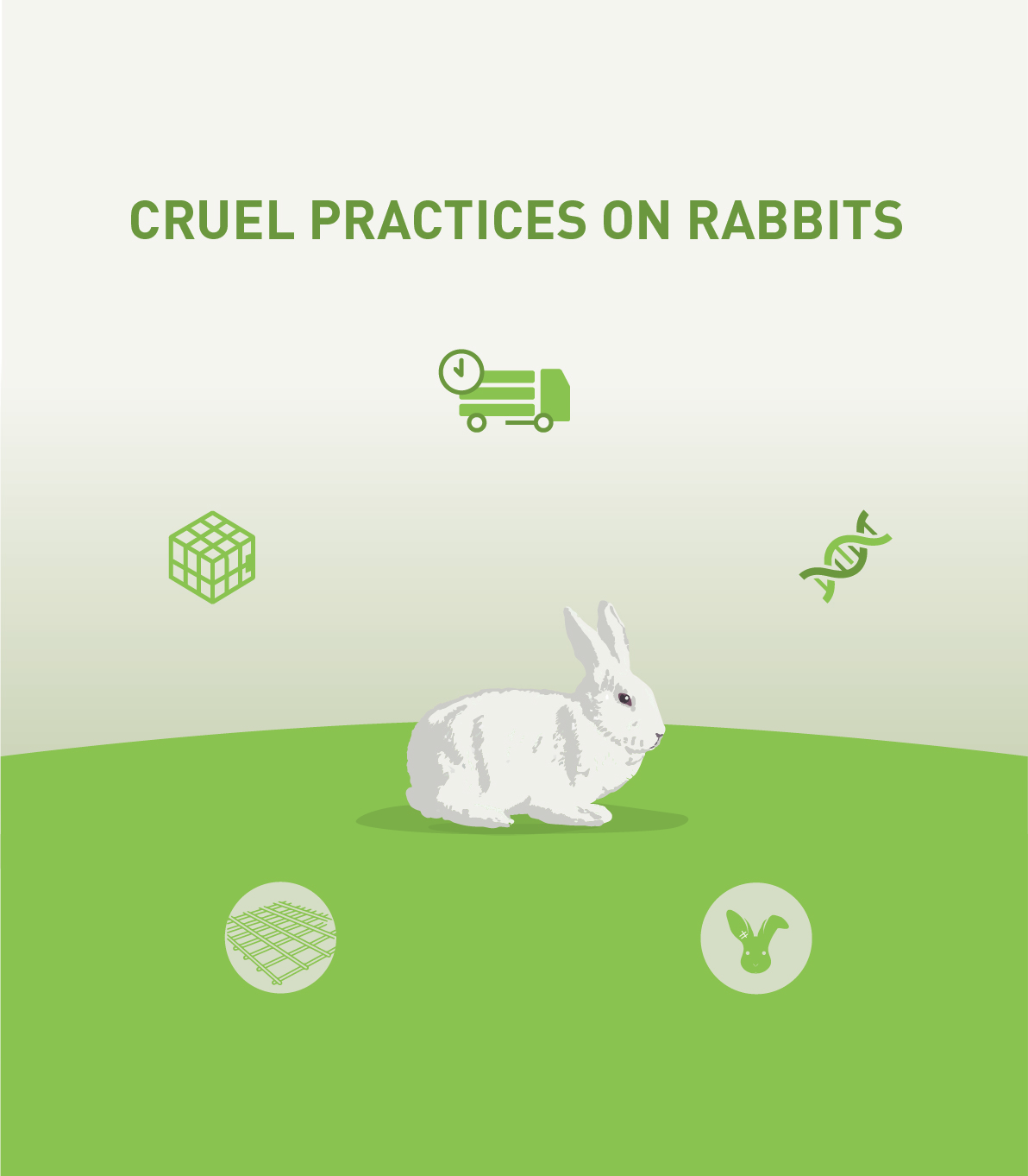 Grausame Praktiken bei Kaninchen