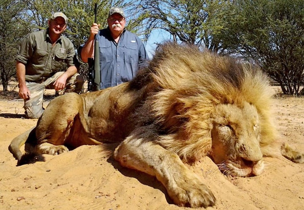 Trophy Hunting – A very British contribution - Animal Charity - Animal  Welfare Organisation - FOUR PAWS UK