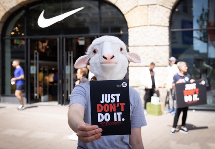 Nike just did it and says “no” to the mutilation of lambs