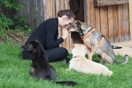 A woman and her three loved dogs