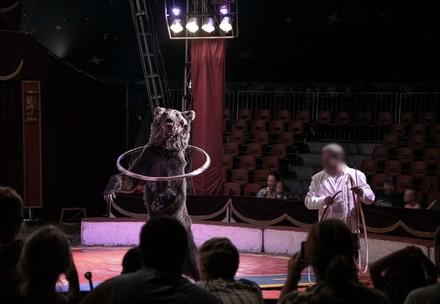 Bear performing in a circus